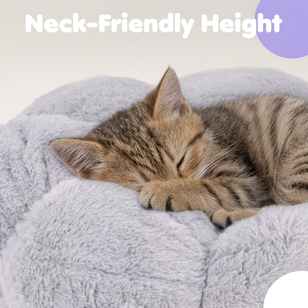 A sleeping tabby kitten curled up on a soft, light gray plush pet bed, with the text 'Neck-Friendly Height' in white at the top left.