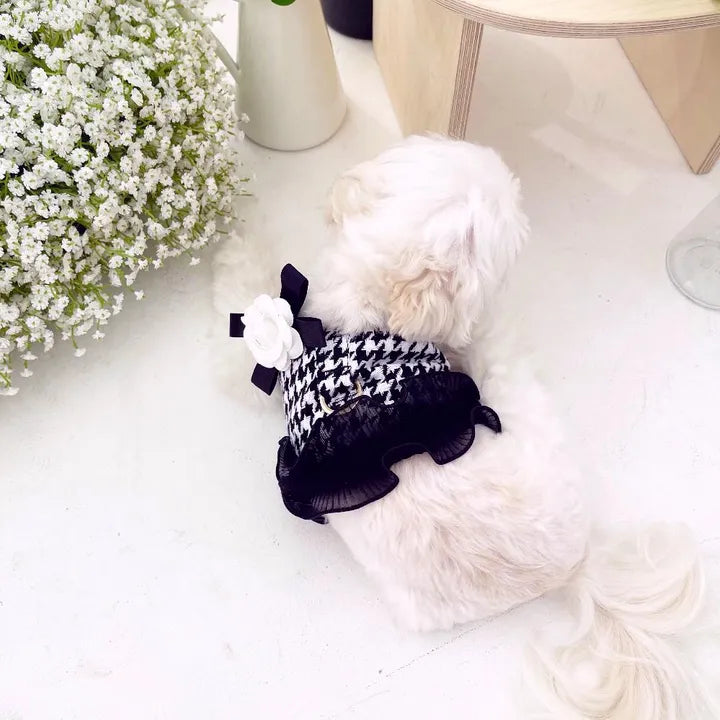 Black & White Houndstooth Pet Harness Dress & Leash Set