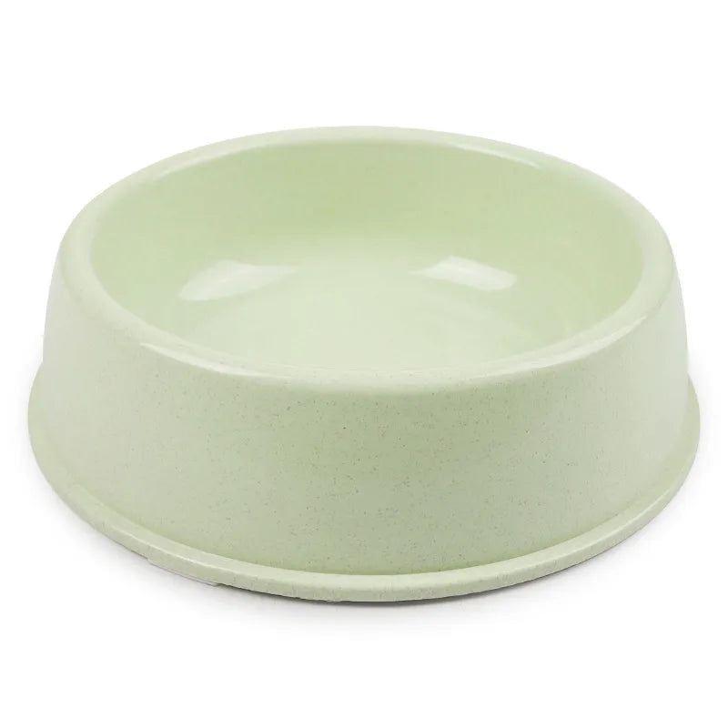 Simple pastel light green single pet bowl, plain matte plastic or ceramic, product photo on white background