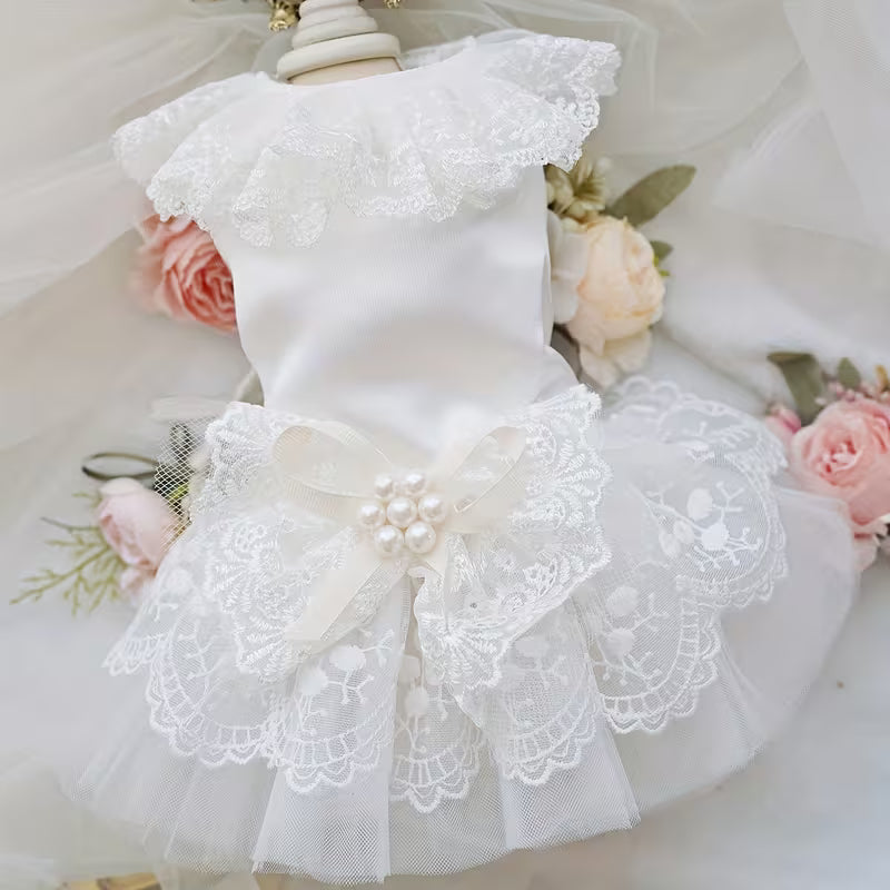 White Lace & Pearl Bow Dress for Dogs & Cats