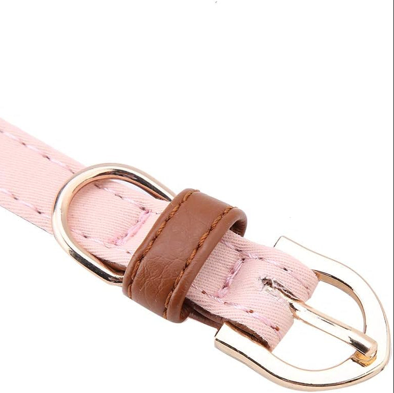Daisy Bloom Pink Floral Rhinestone Pet Collar