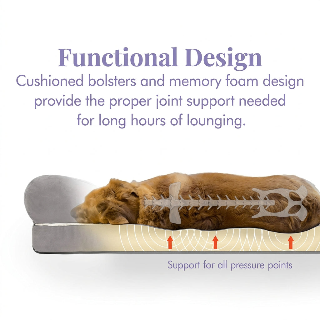 An informational product graphic showing a dog lying on a cushioned mattress with overlaid text reading 'Functional Design' and 'Support for all pressure points.' The dog is shown in a semi-transparent overlay to demonstrate support under the body, with arrows indicating pressure points and foam cushioning beneath.