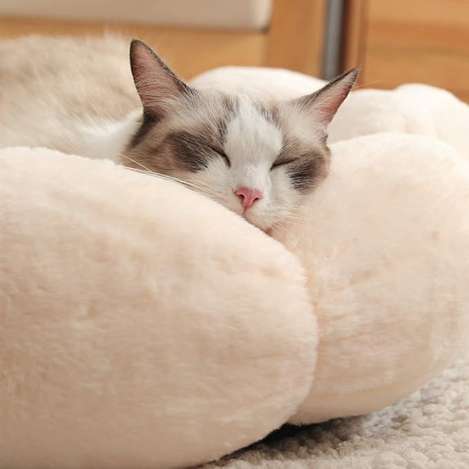 A sleeping cat with white and gray fur resting inside a soft, cream-colored plush pet bed on a carpeted floor.
