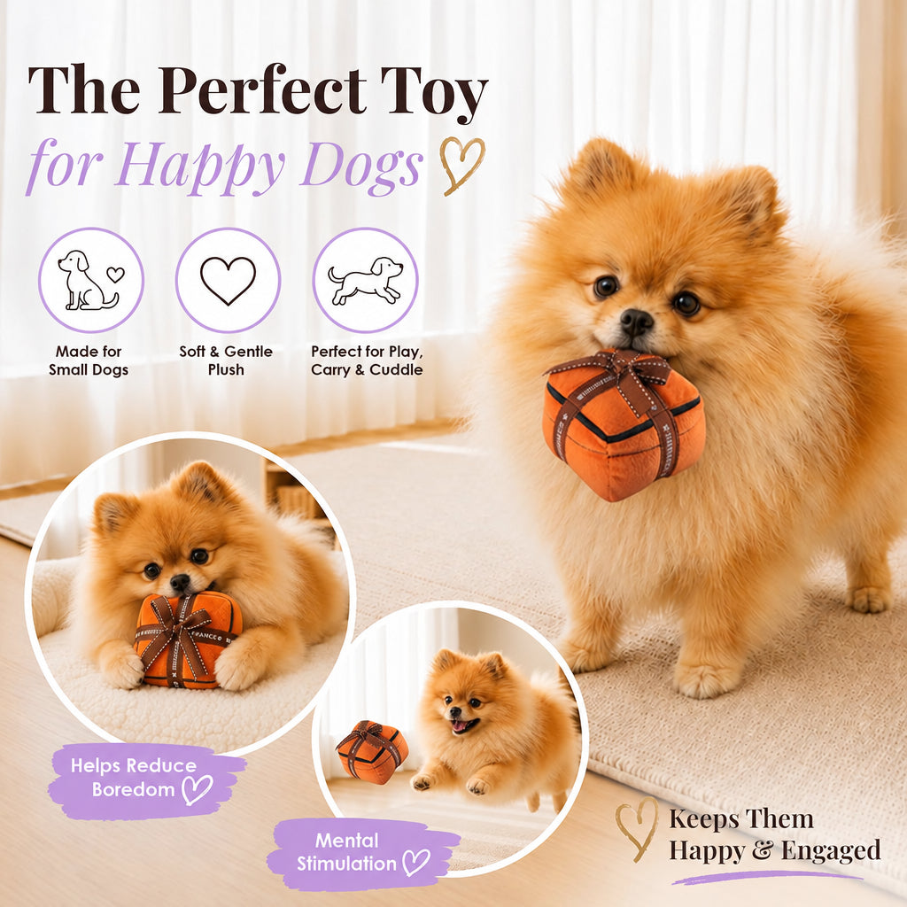 Hairmes Gift Box Plush Squeaky Dog Toy