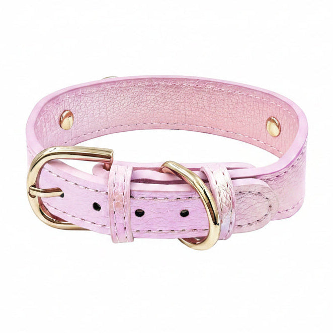 Iridescent holographic pink-lavender pet collar with gold buckle hardware and gold stud accents on a white background