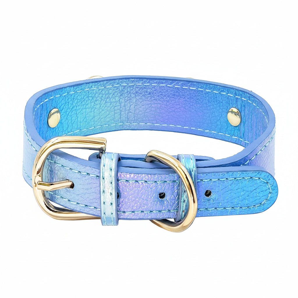 Iridescent holographic blue-purple pet collar with gold buckle hardware and gold stud accents on a white background