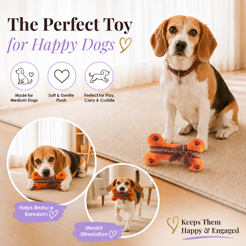Hairmes Bone Plush Squeaky Dog Toy
