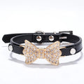 Black Pet Collar with Gold-Tone Rhinestone Bow