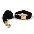 Black Velvet Dog Collar and Leash Set with Gold Hardware
