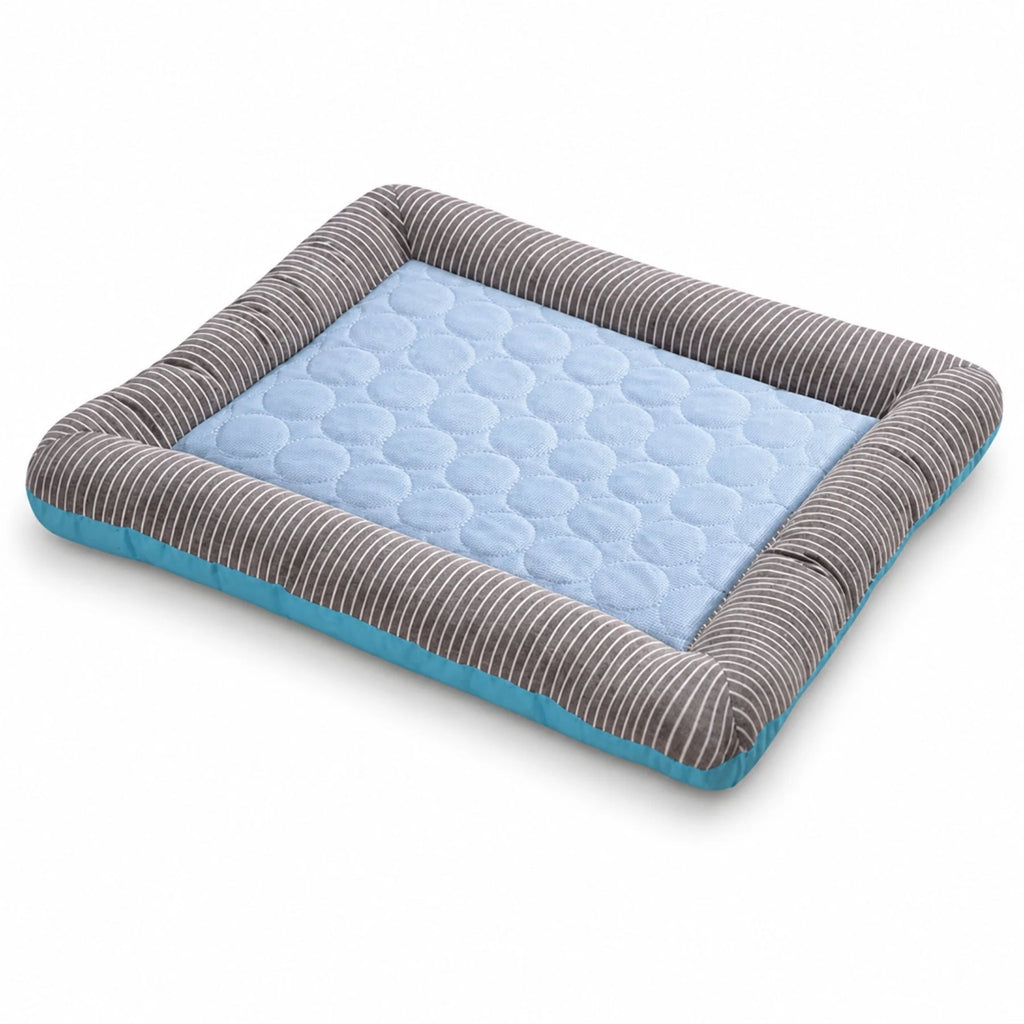 Pet bed with blue cushion and brown border on a white background