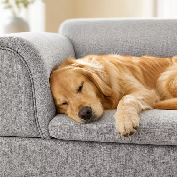 Light Gray Oversized Pet Sofa with Curved Arms