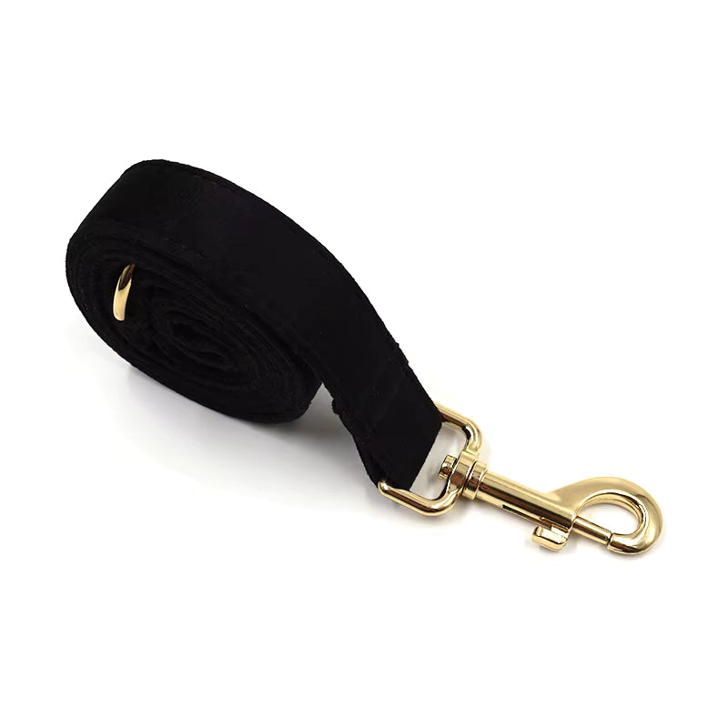 Black Velvet Dog Leash with Gold Hardware