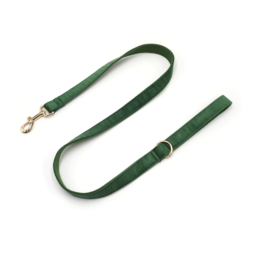 Green Velvet Dog Leash with Gold Hardware