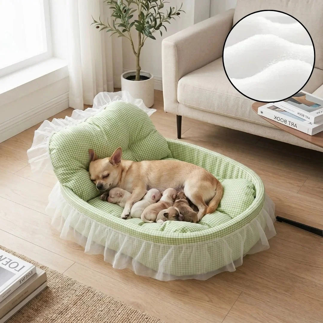 Chihuahua mother dog nursing newborn puppies in a sage green gingham oval pet bed with tufted bolster backrest and sheer white lace ruffle trim, displayed on a wood floor in a bright minimalist living room, with inset close-up showing memory foam cushion material
