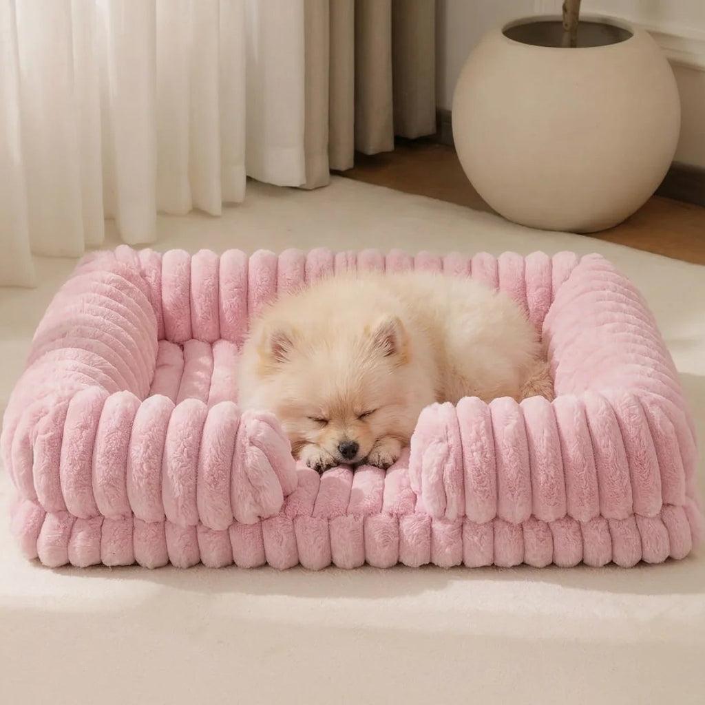 Cream Pomeranian puppy sleeping curled up in a blush pink chunky corduroy pet bed on a cream floor in a minimal, light-filled room with sheer curtains and a white sphere ornament.