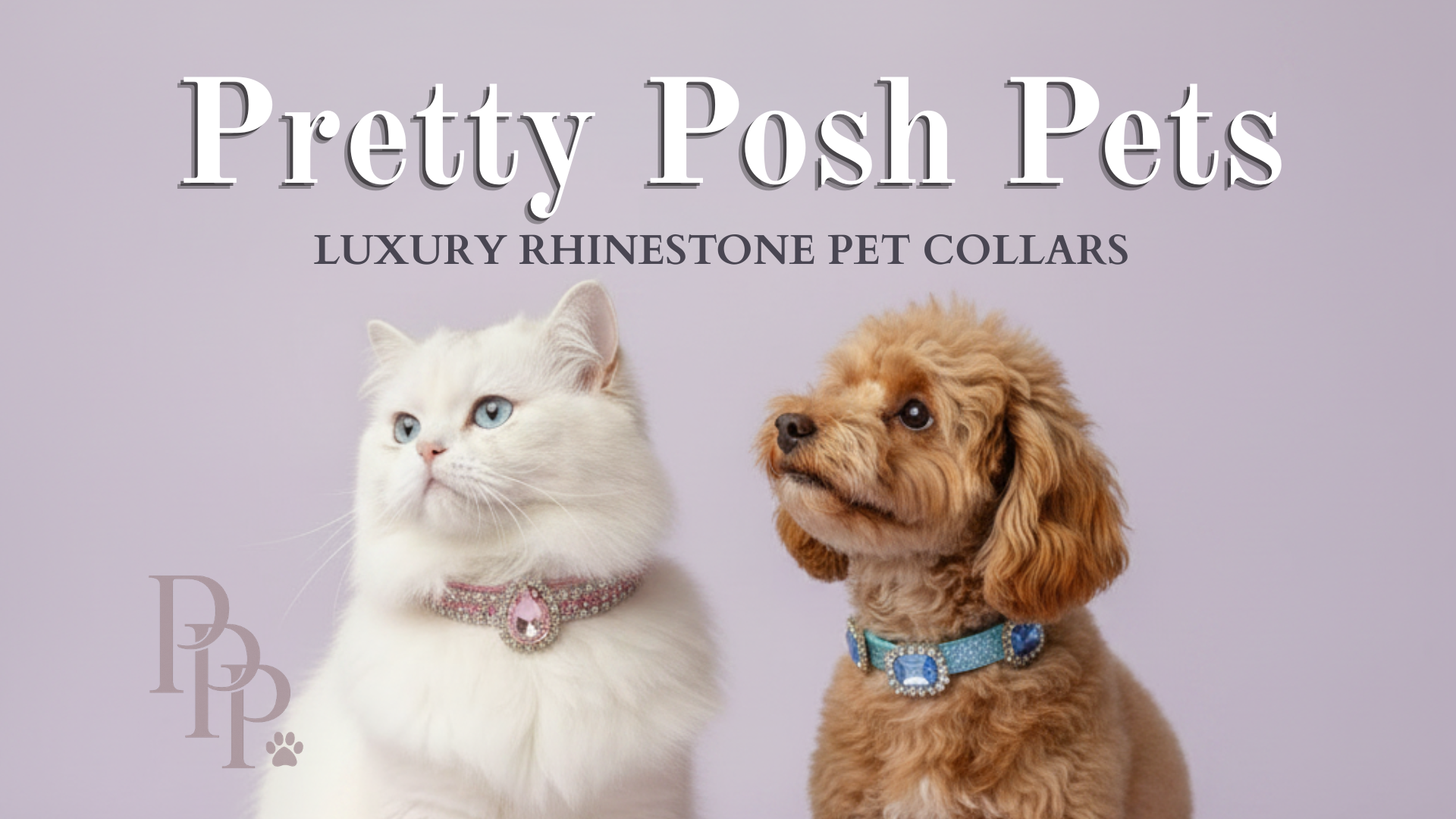 Luxury rhinestone pet collars for cats and dogs — Pretty Posh Pets brand banner featuring white cat and apricot Cavapoo