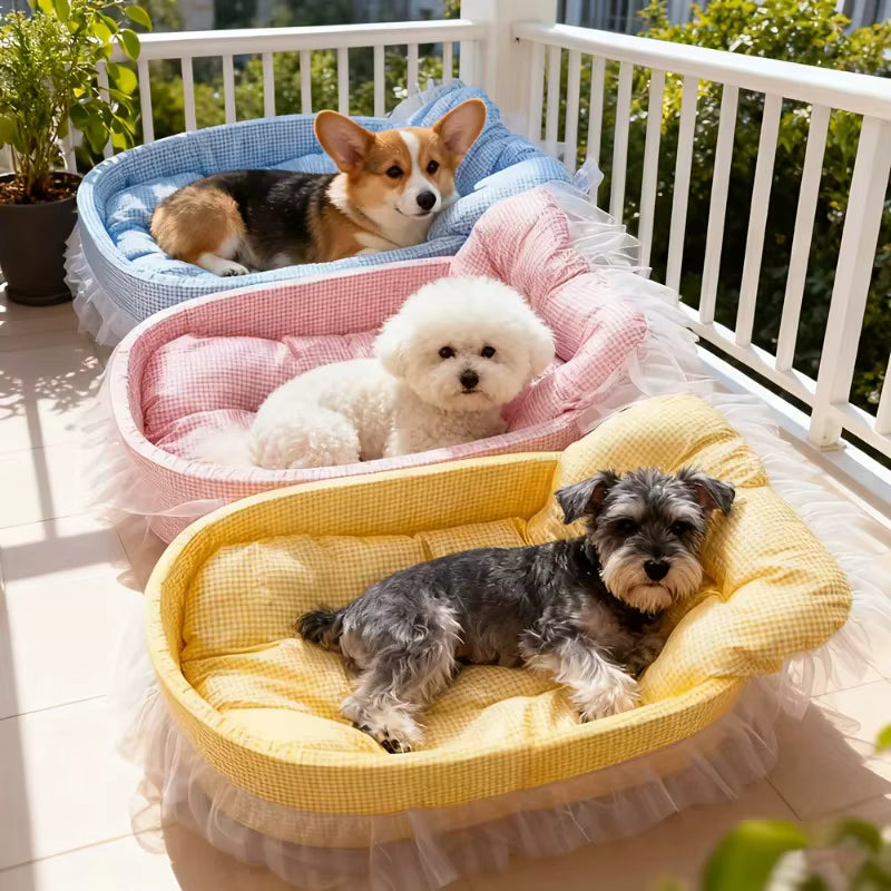 Three small dogs are lying in three different pet beds arranged on a balcony. The beds are oval-shaped with a gingham pattern and a ruffled tulle base, in blue, pink, and yellow colors.