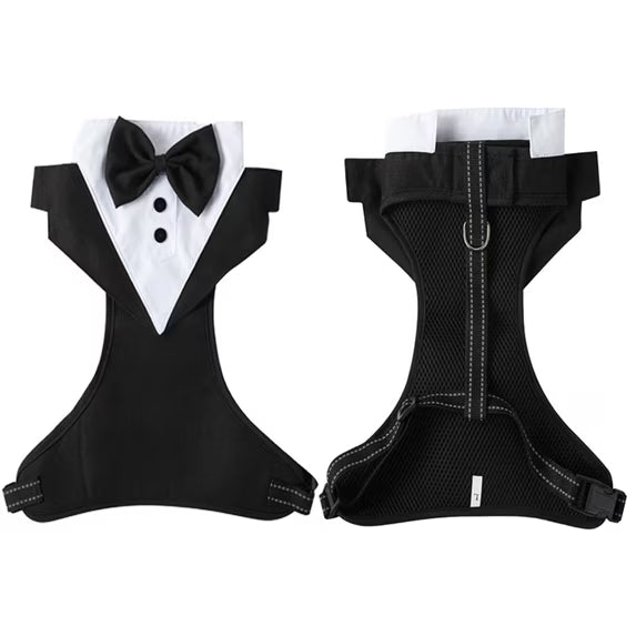 Black Tuxedo Harness & Leash Set for Dogs & Cats