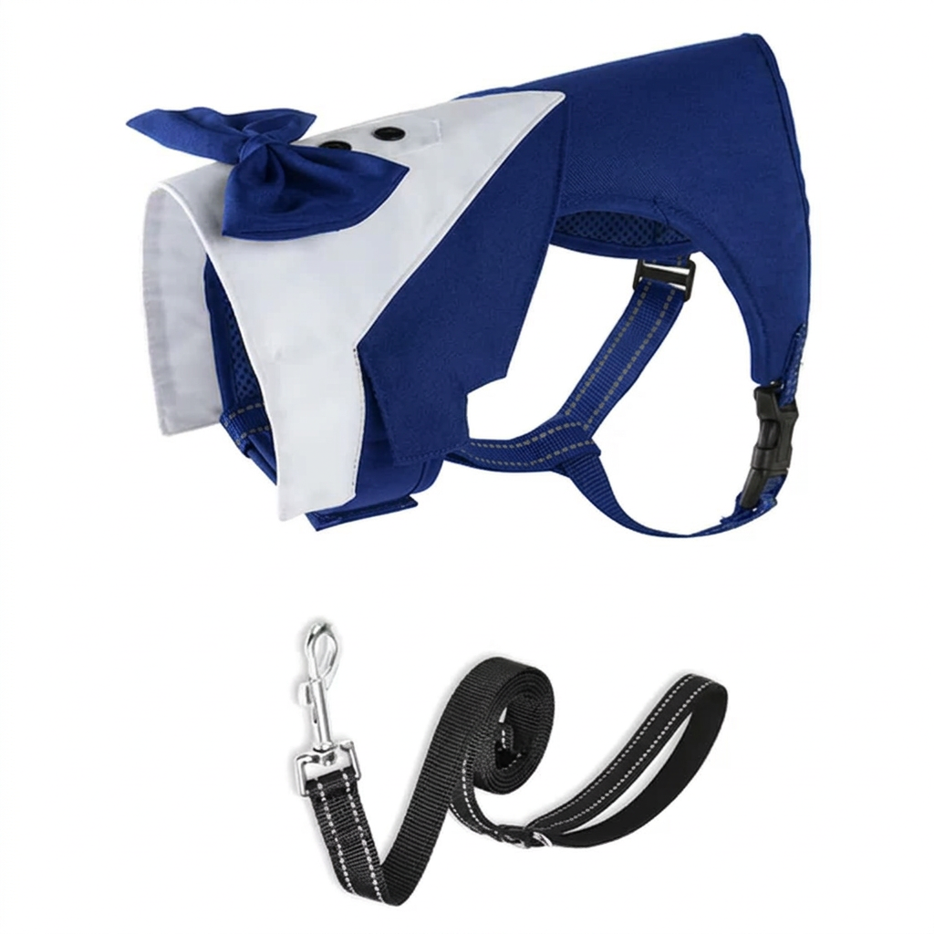 Angled blue harness with black leash