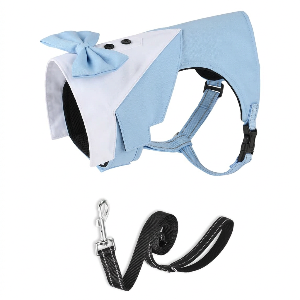 Angled light-blue harness with black leash