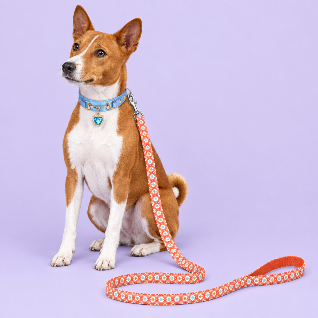 Basenji with blue heart collar and coral floral leash