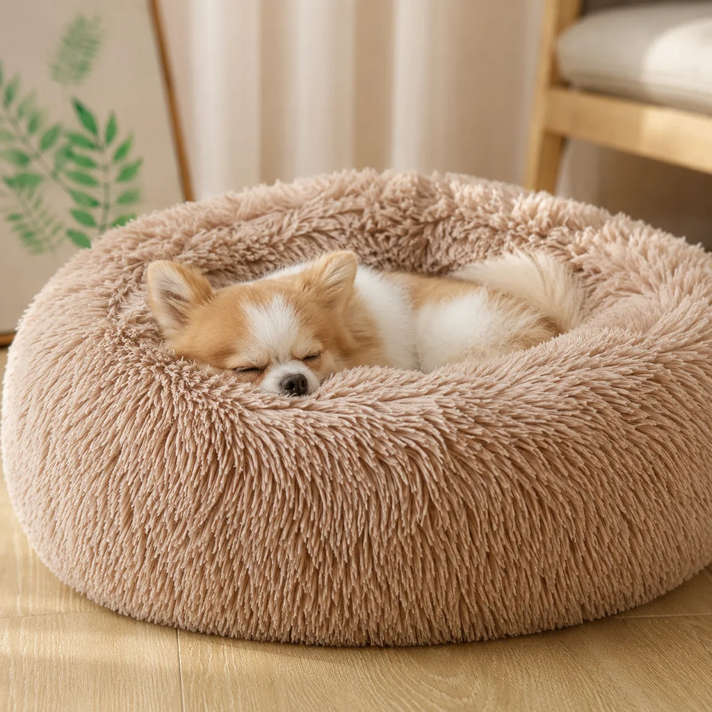 A small tan and white dog is sleeping inside a round, plush, shaggy pet bed in a warm beige color, placed on a light wood floor in a cozy room setting.