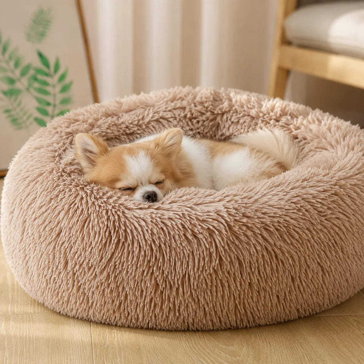 A small tan and white dog is sleeping inside a round, plush, shaggy pet bed in a warm beige color, placed on a light wood floor in a cozy room setting.