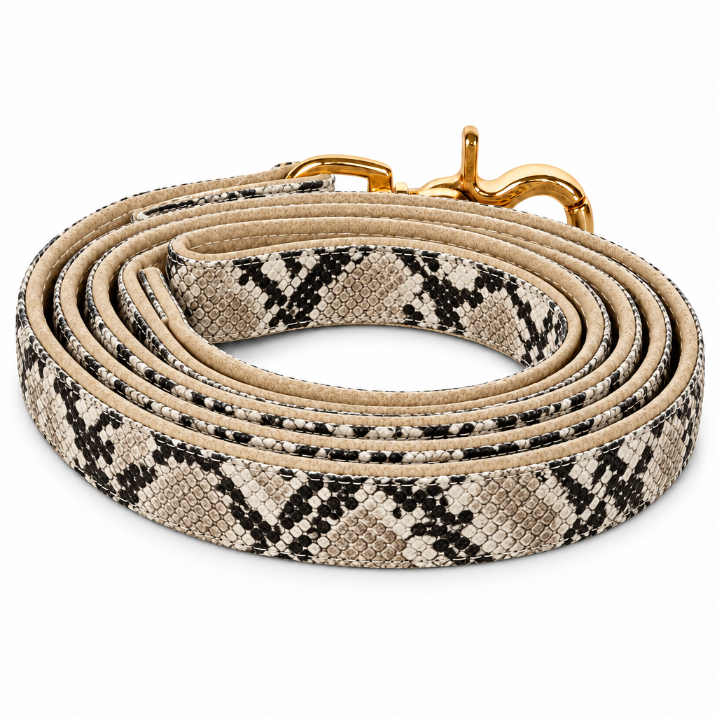 Beige snakeskin compact coil