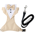 Beige tuxedo harness with black leash