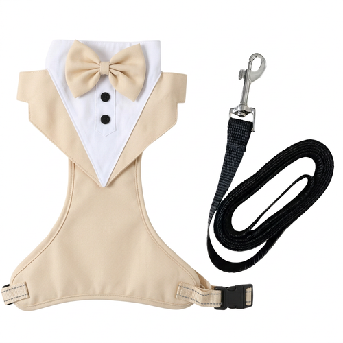 Beige tuxedo harness with black leash