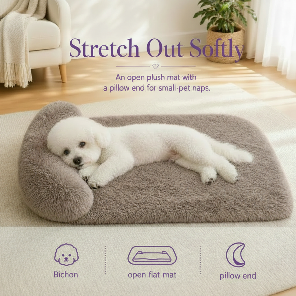 Bichon with Pink Pearl Collar on Plush Mat Infographic