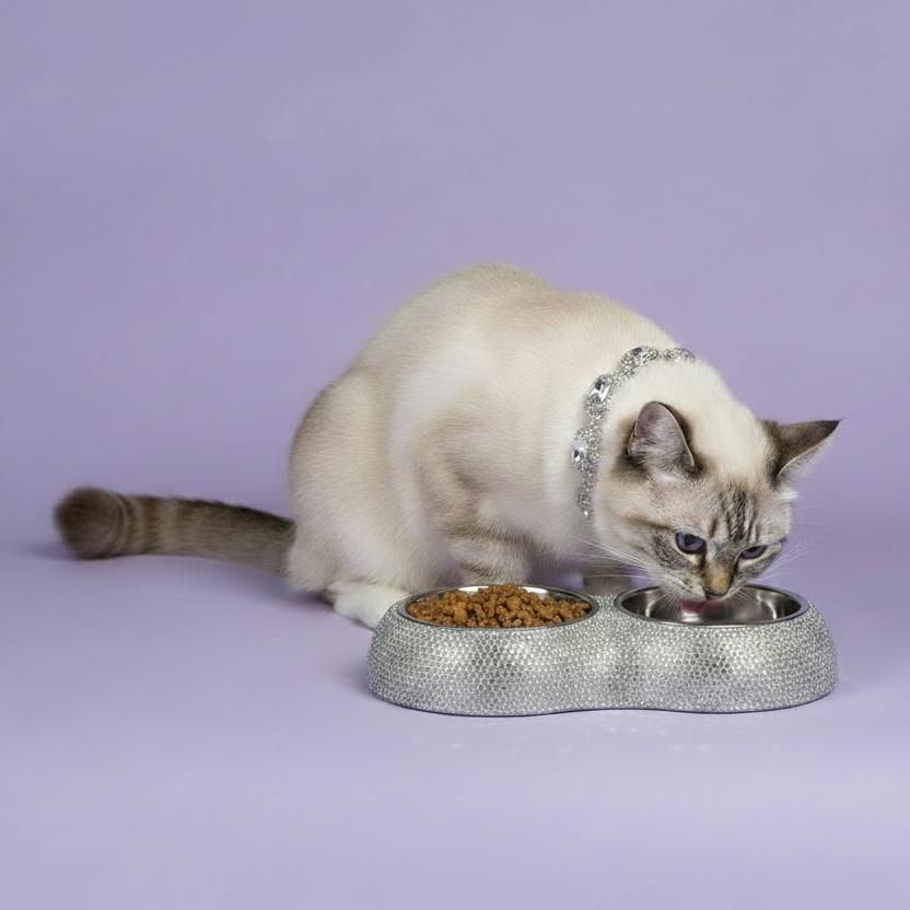 Birman cat wearing a rhinestone collar eating from a silver rhinestone double pet bowl with stainless steel inserts on a soft lavender background
