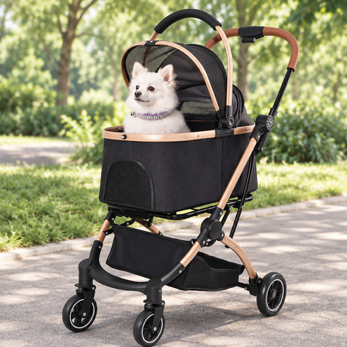 Black-and-gold stroller outdoors with dog in purple velvet diamante collar