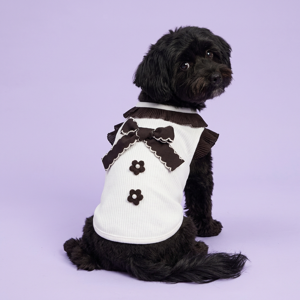 Black Havanese seated and looking back to show the bow