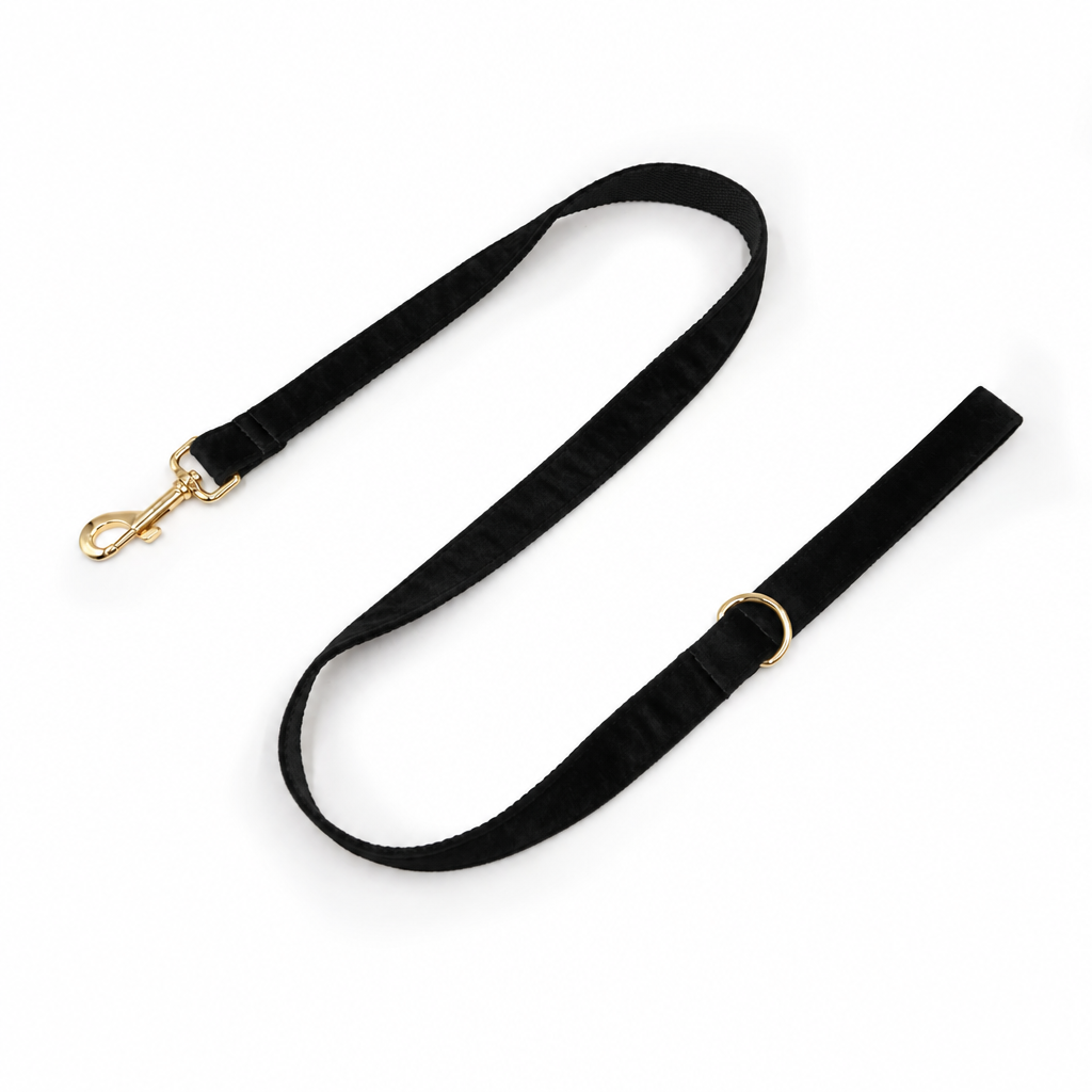 Black velvet leash in the first photo’s layout