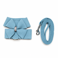 Blue bow harness and leash