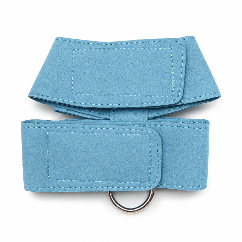 Blue harness back view
