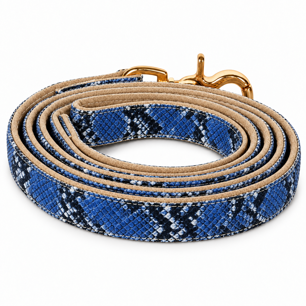 Blue snakeskin coiled leash