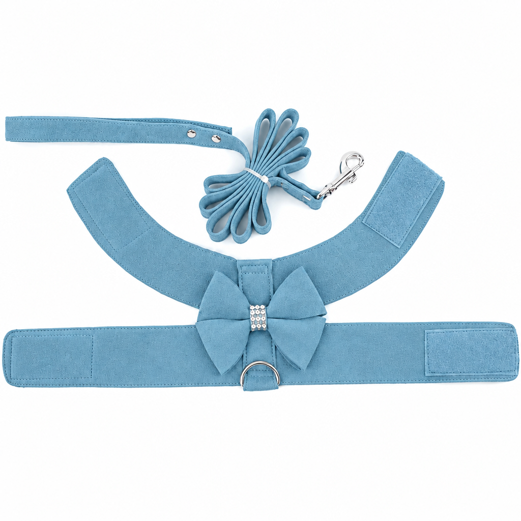 Blue unfolded harness and leash