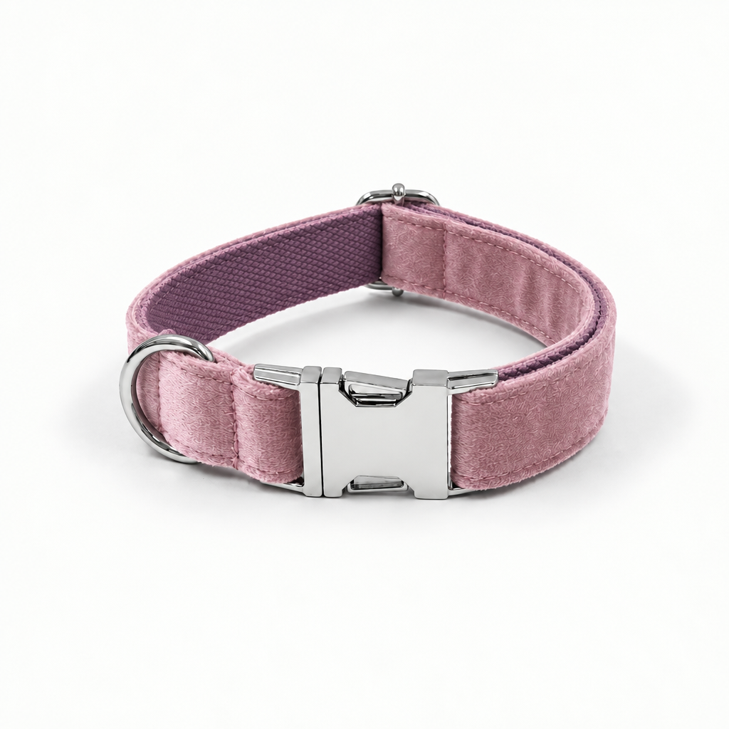 Blush pink velvet collar with silver buckle