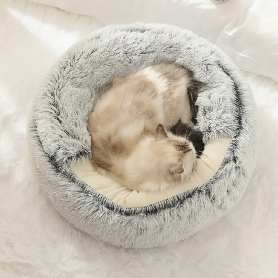 Ragdoll cat curled up and sleeping in a grey long-pile plush round donut pet bed with cream interior lining, overhead view on a white surface