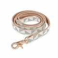 Centered leash on white