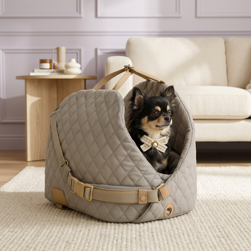 Chihuahua wearing an ivory and gold collar in a quilted carrier in a lavender living room