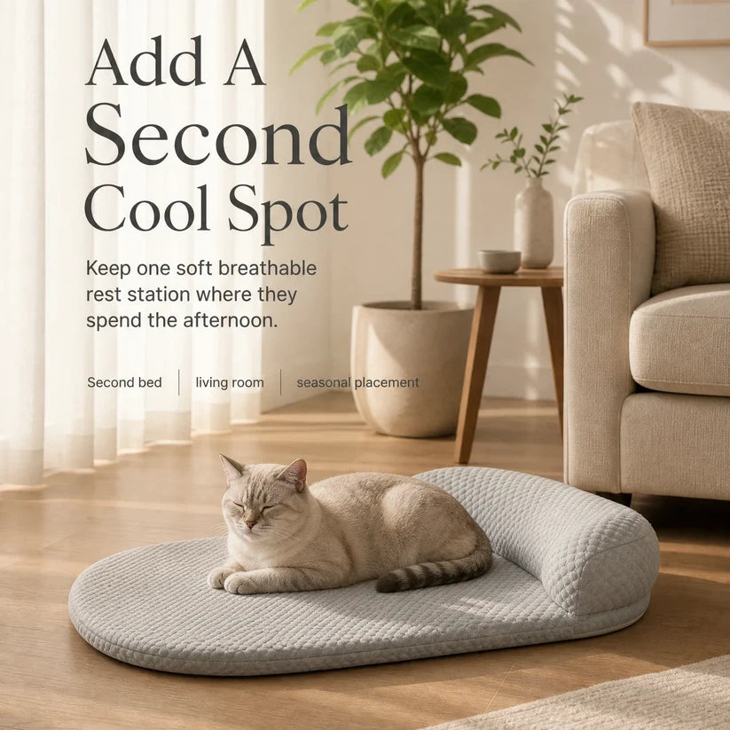 Cat lying on a soft pet bed in a cozy living room with text about adding a second cool spot.