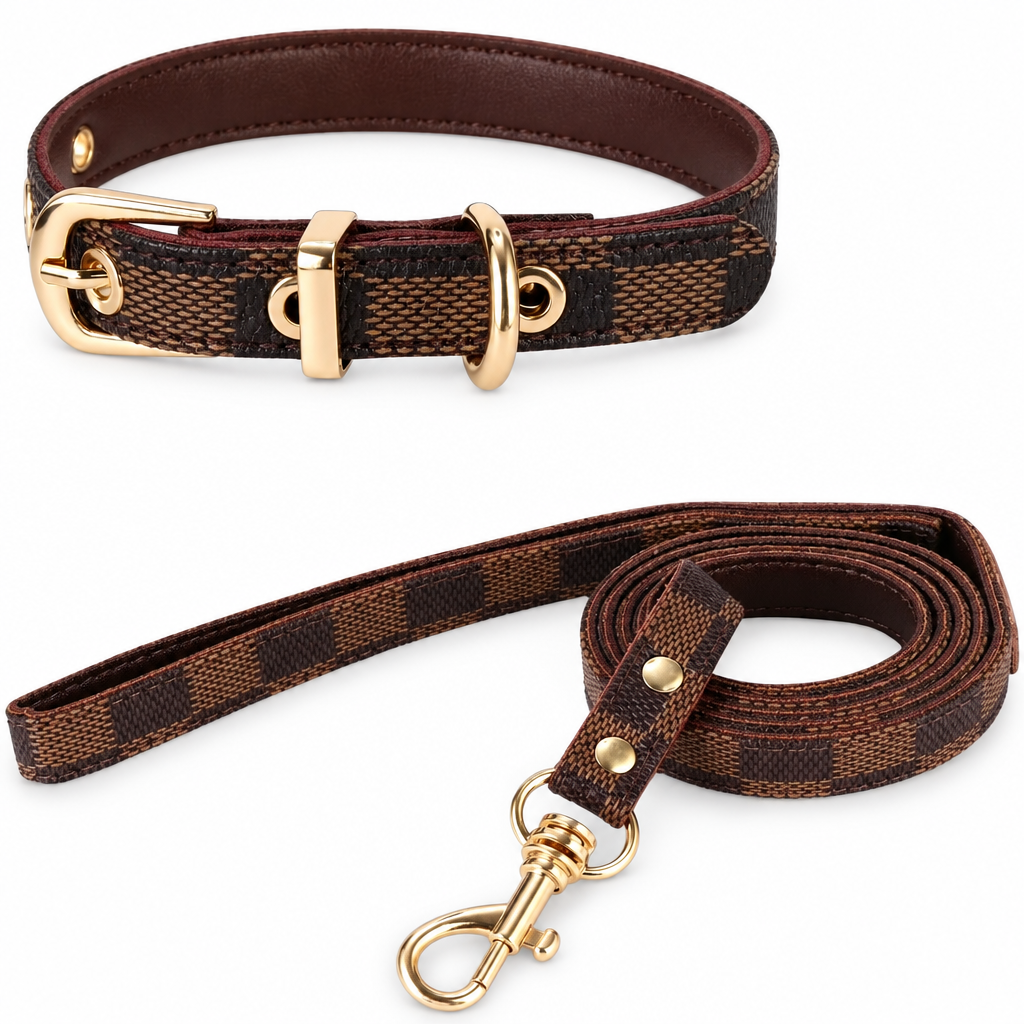 Collar and leash on a white background