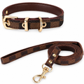 Collar and leash on a white background