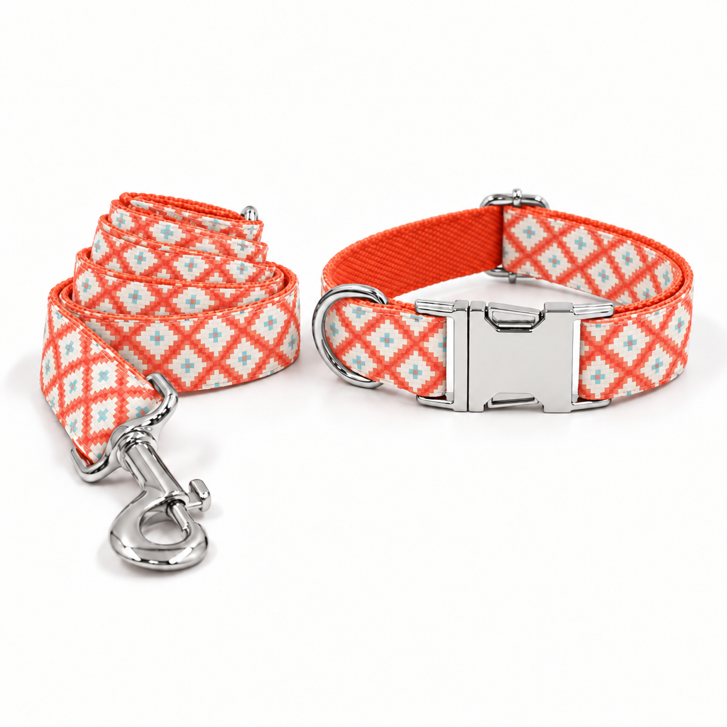 Collar and leash set with corrected pattern