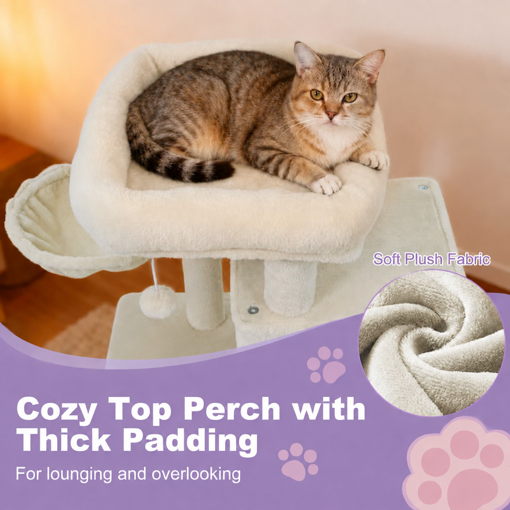 Cozy top perch graphic with lavender panel and label