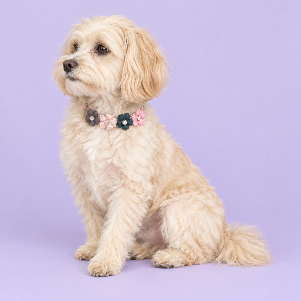 Cream dog seated sideways and looking off-frame