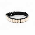 Black pet collar featuring a row of cream opal rectangular rhinestones on a white background.
